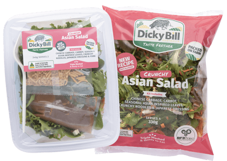 Asian Salad Kit and Bowl