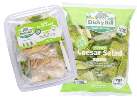 Caesar Salad Kit and Bowl